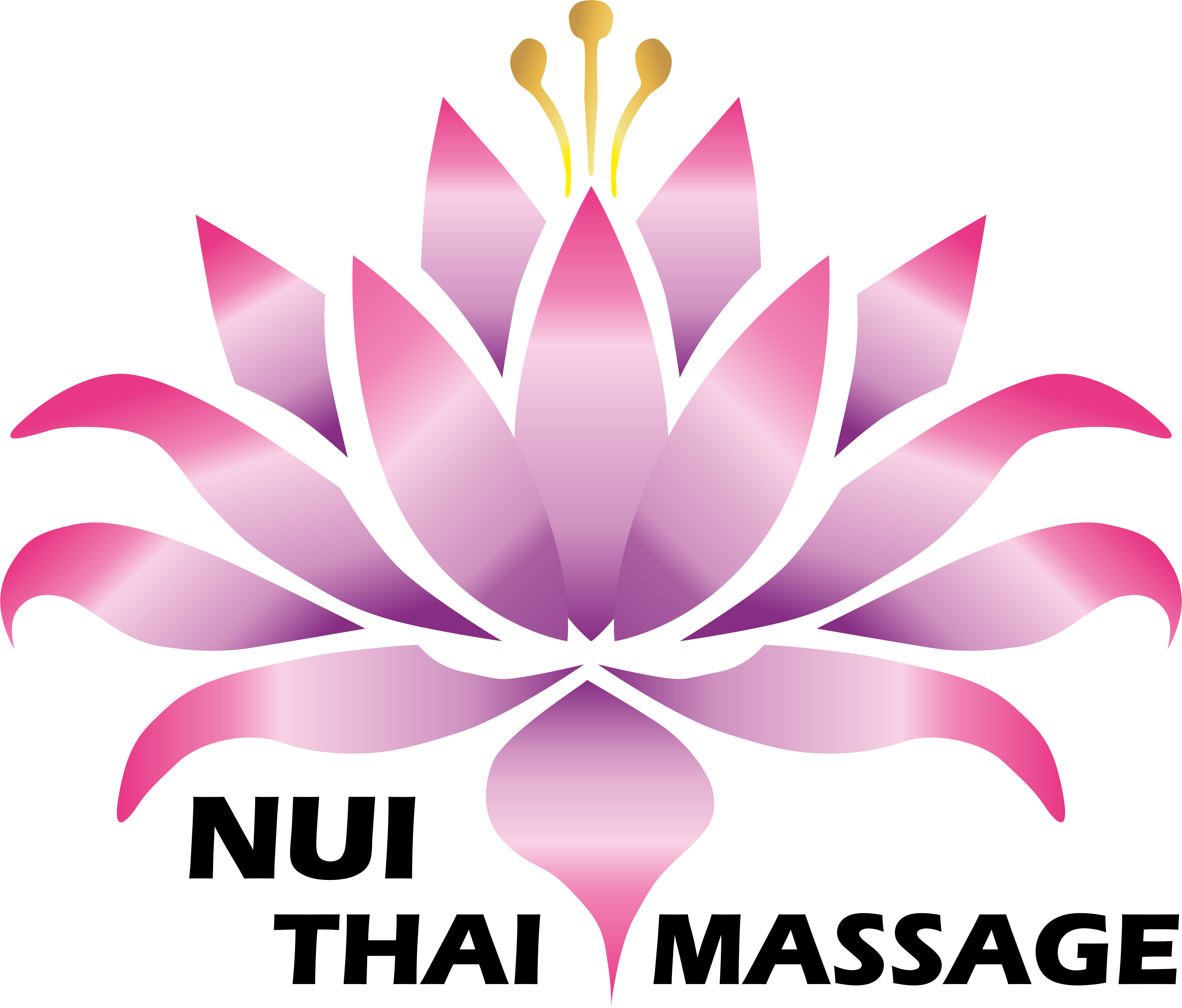 NUI Traditionelle Thai Massage
